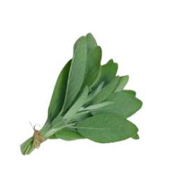 Sage Leaf Extract in Water, 2 KG Bottle