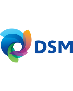 DSM Logo