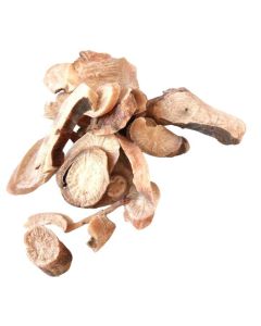 Peony Root Extract in Water - 5 KG Bottle
