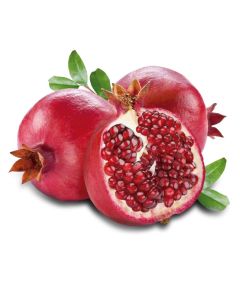 Pomegranate Extract 2 KG Bottle - ANGUS Natural Botanical Extracts