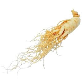 Panax Ginseng Root Extract in Water, 2 KG Bottle