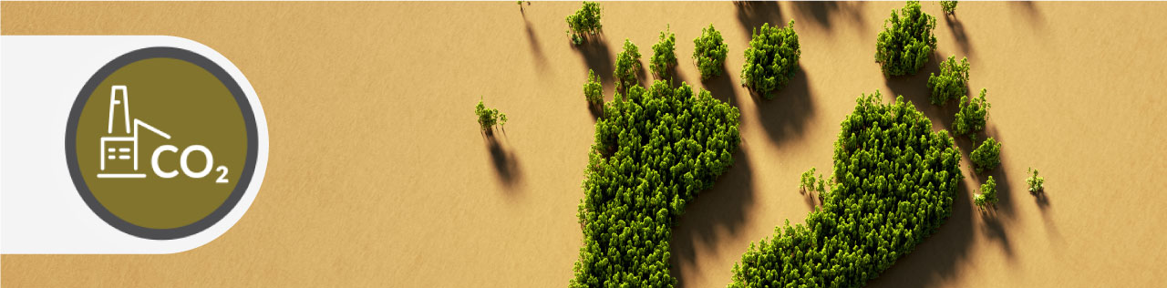 An aerial view of large trees forming the shape of two footprints against an orange background