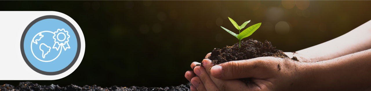 A childs hands are holding soil with a small plant growing out of it