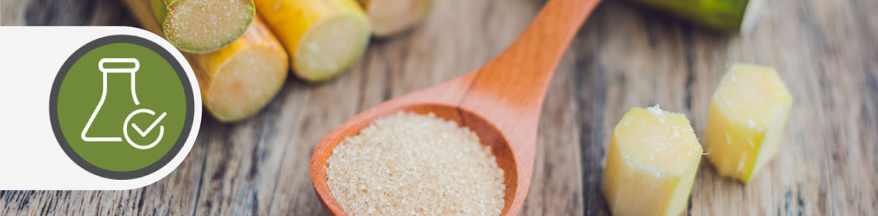 A spoon filled with granulated natural sugar
