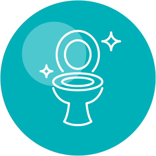 Toilet Cleaners