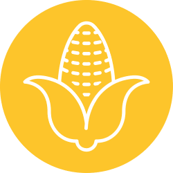 Yellow circle with a white outline of an ear of corn