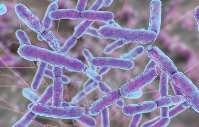 bacteria strands under microscope