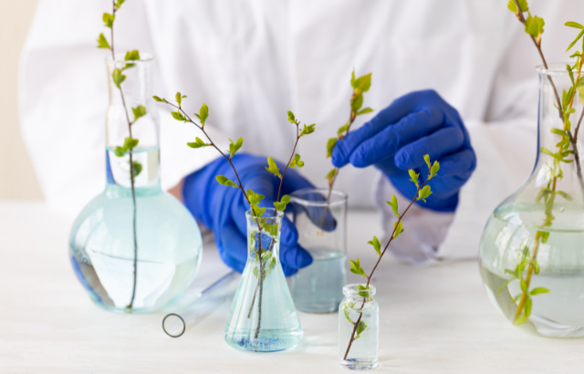 flower stems inside of lab equipment as vases