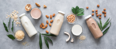 Plant-Based Milks