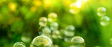 Green natural bubbles in an outdoor setting