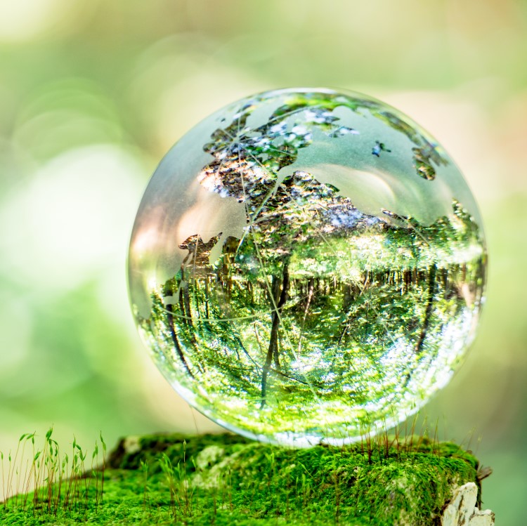 A glass globe rests on grass with a blurred green background and a forest reflecting in the globe
