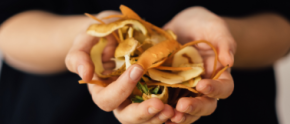 Hands holding upcycled food waste