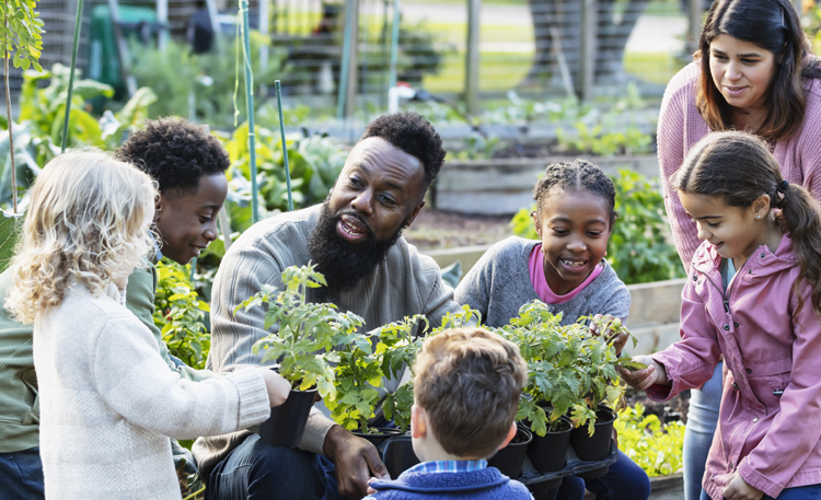 A man is sitting down in a community garden surrounded by a group of children showing them different plants.